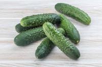 Семена огурца Мадрилене F1 : 5 шт. Seminis