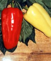 Семена перца Джипси F1: 5 шт. Seminis