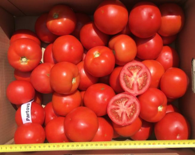 Семена томата Партова F1 : 5шт Seminis