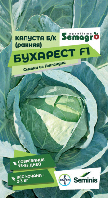 Семена капусты белокочанной Бухарест F1 : 15 шт. Seminis