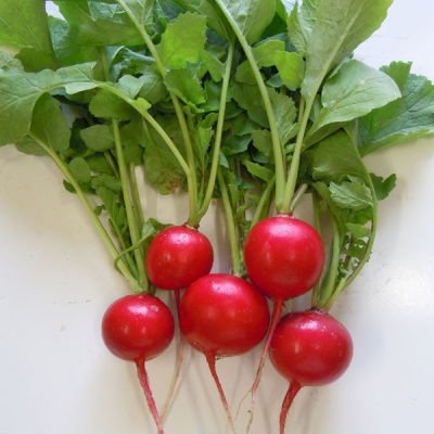 Семена редиса Селеста F1 : 2гр Enza Zaden