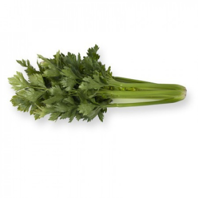 Семена сельдерея черешкового Артур : 20шт Rijk Zwaan