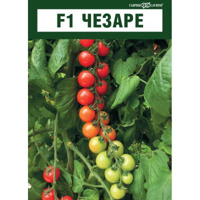 Семена томата черри Чезаре F1 : 5шт Gavrish