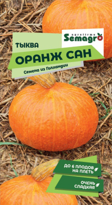 Семена тыквы Оранж Сам : 5шт Seminis