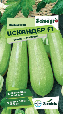 Семена кабачка Искандер F1 : 5шт Seminis