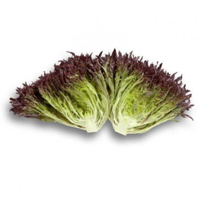 Семена салата Винтекс : 25шт Rijk Zwaan