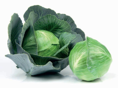 Семена капусты белокочанной СВ 3404 ЖЛ F1 : 15 шт. Seminis