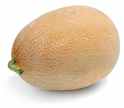 Семена дыни Самит F1: 5шт Seminis