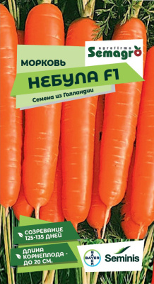 Семена моркови Небула F1 : 200 шт. Seminis