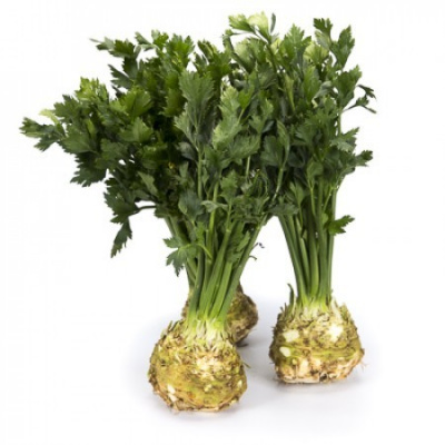 Семена сельдерея корневого Президент : 20шт Rijk Zwaan