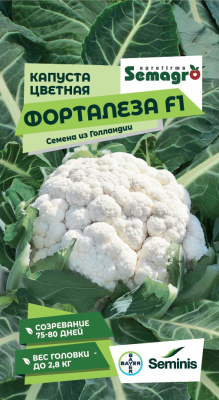 Семена капусты цветной Форталеза F1 : 15 шт. Seminis