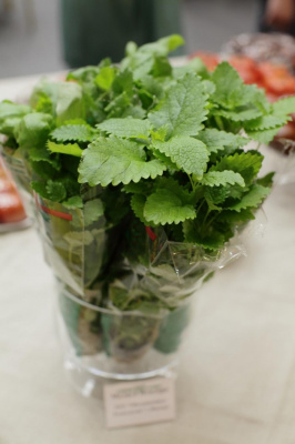 Семена мяты перечной Тимол : 0,05гр Gavrish