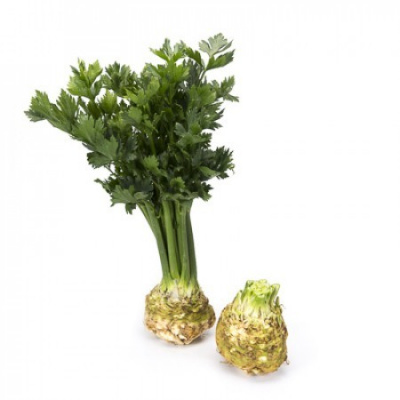 Семена сельдерея корневого Президент : 20шт Rijk Zwaan