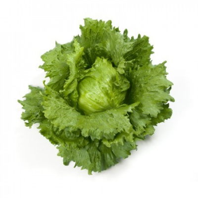 Семена салата Миретт : 25шт Rijk Zwaan