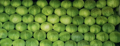 Семена капусты белокочанной Атрия F1 : 15 шт. Seminis