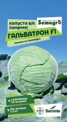 Семена капусты белокочанной Гальватрон F1 : 15 шт. Seminis