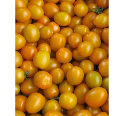 Семена томата Кенди F1 : 5шт Gavrish