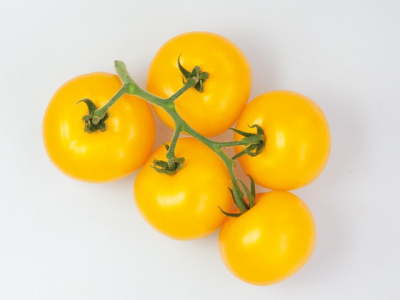 Семена томата Гуальдино F1: 3шт Enza Zaden